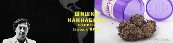гидра Липки