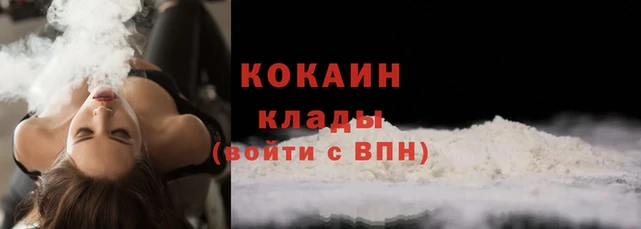 трава Магас